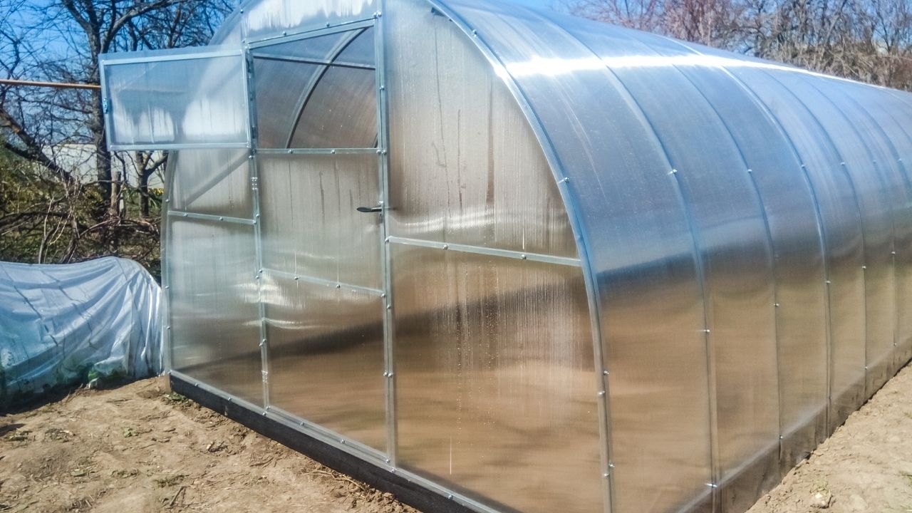 how to use a greenhouse for beginners