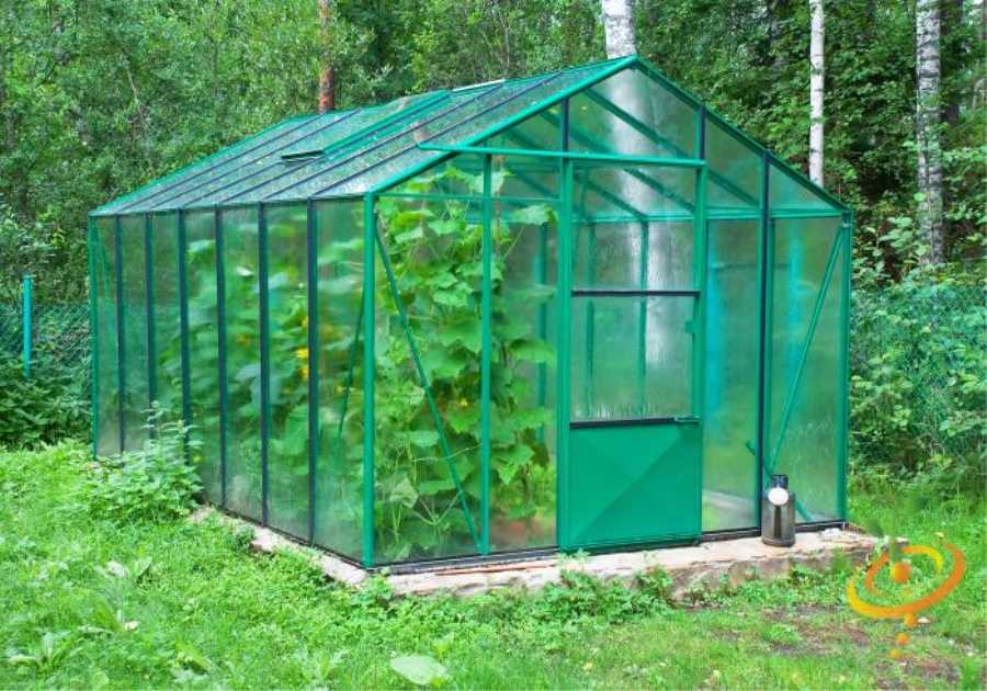 Green Thumb Mastery: Starting Your Home Greenhouse