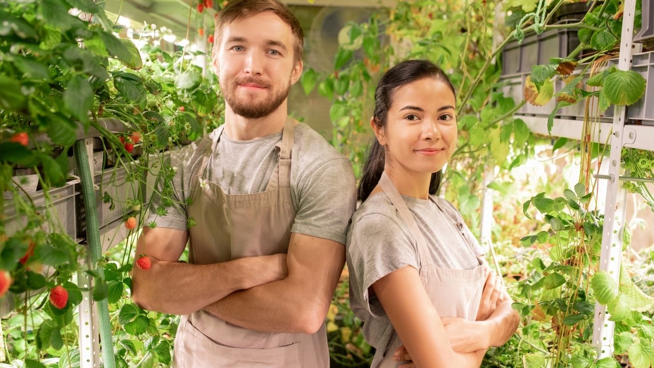 organic gardening tips