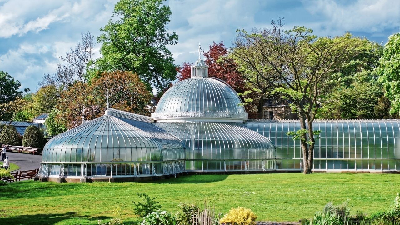growing vegetables in greenhouse for beginners