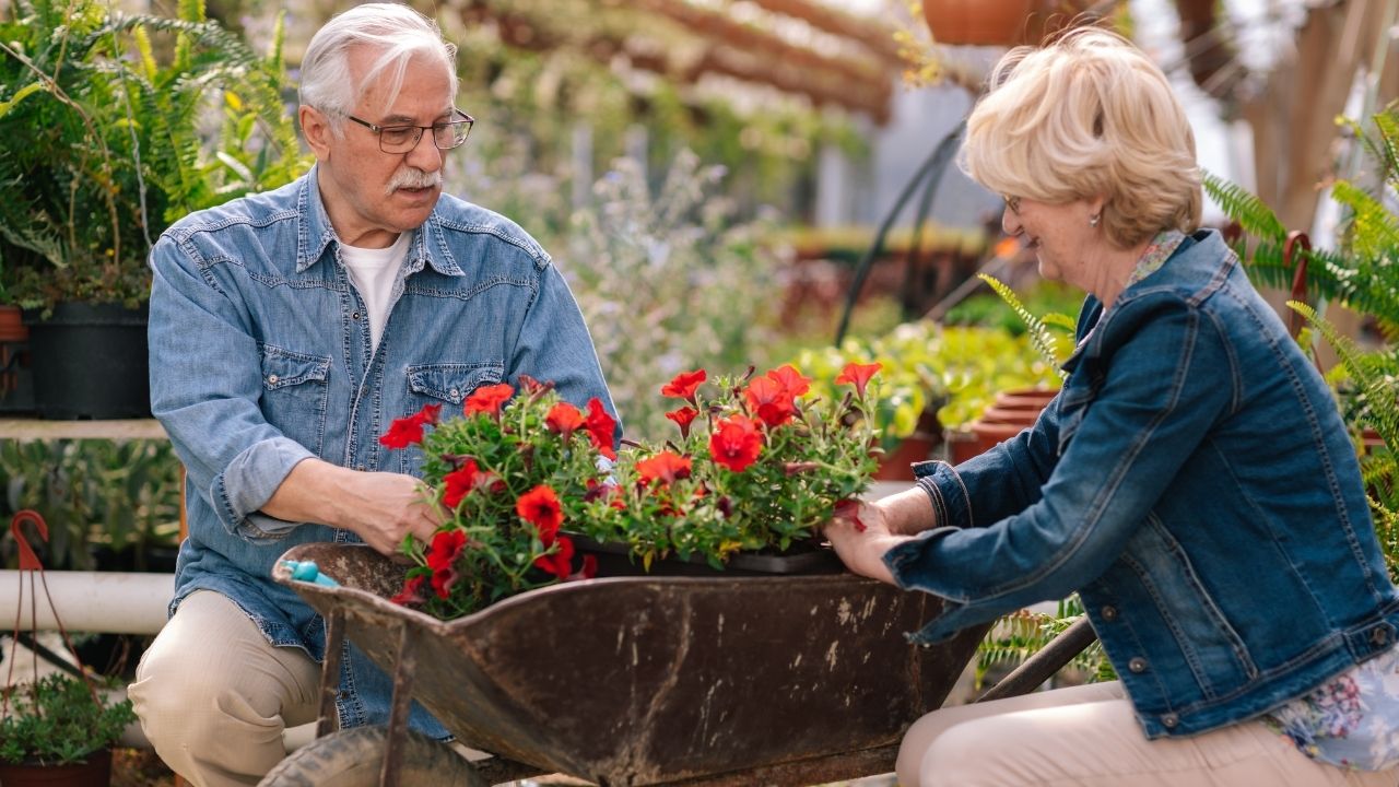 how to greenhouse garden