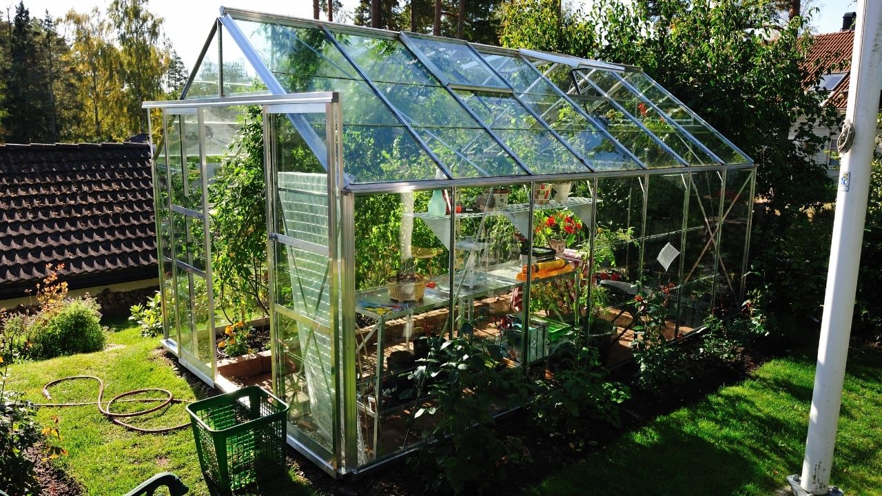 epsom salt gardening tips