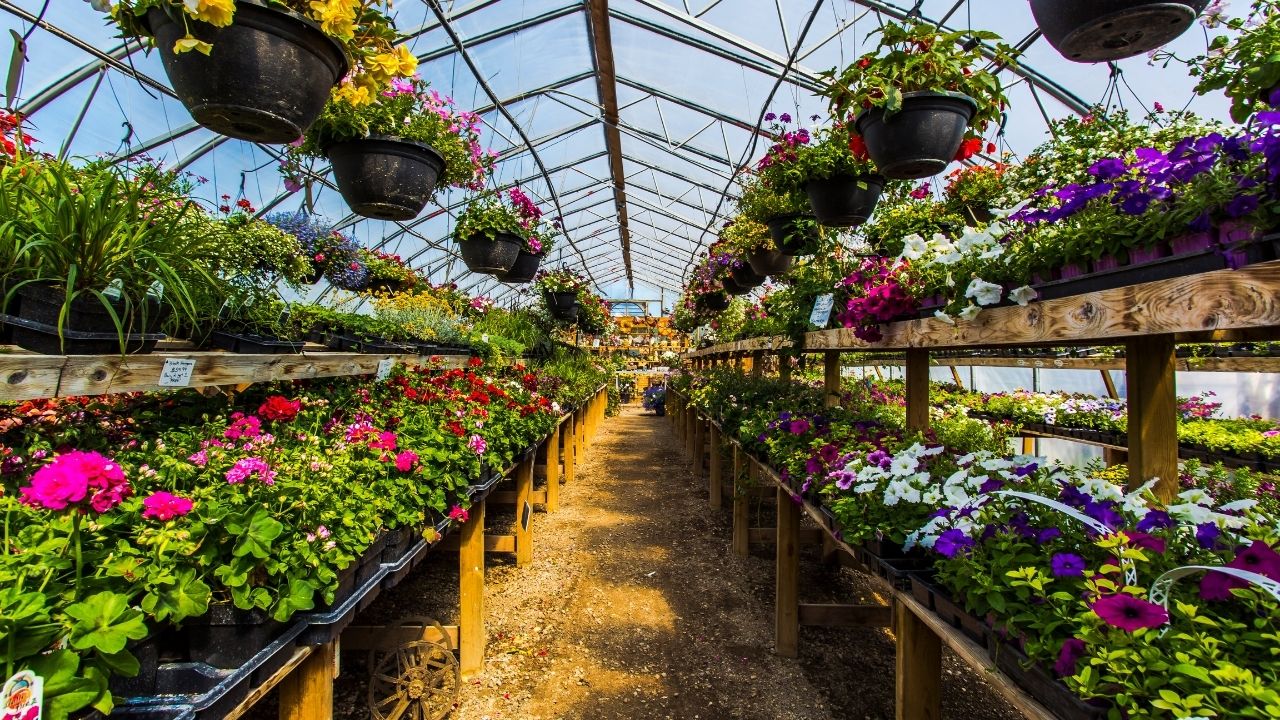 greenhouse gardening classes